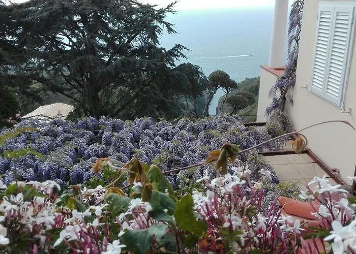 Cala Del Rio לינה וארוחת בוקר *