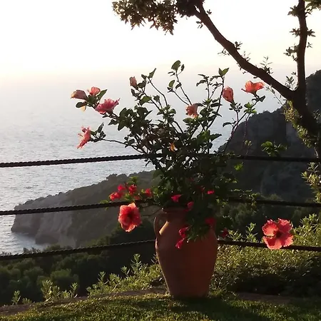 Cala Del Rio * Anacapri (Isola di Capri)