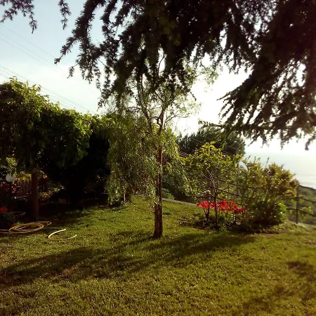 Cala Del Rio Bed & Breakfast *