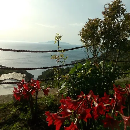 Cala Del Rio Bed & Breakfast