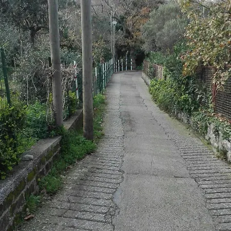 住宿加早餐酒店 Cala Del Rio *