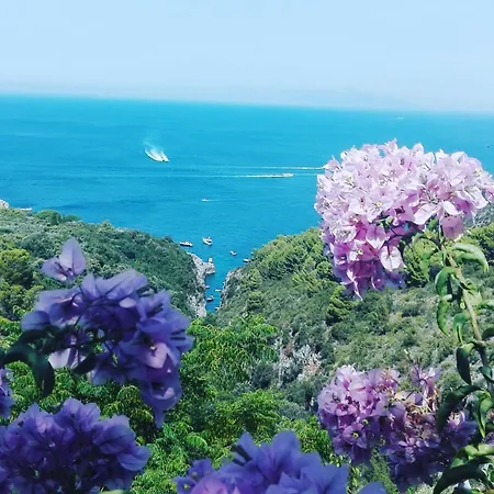 Cala Del Rio 住宿加早餐酒店