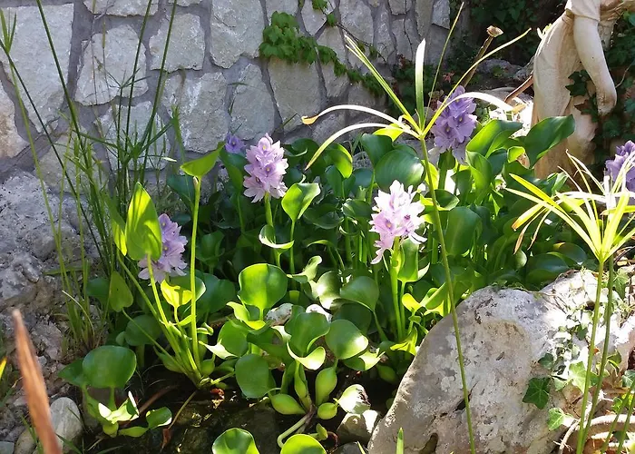 Frühstückspension Cala Del Rio