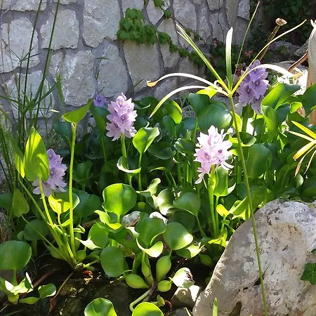 Panzió Cala Del Rio