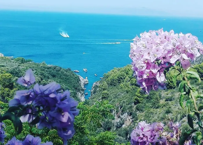 Cala Del Rio Couette-café